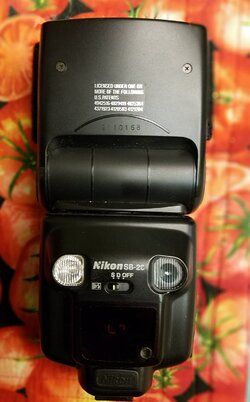 Nikon SB-2Ca.jpg