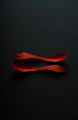 Spork2.jpg