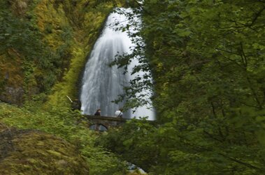 Wahkeena Falls-1.jpg