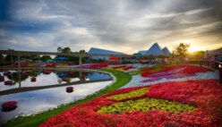 Epcot-flower-garden-festival-2014-L.jpg