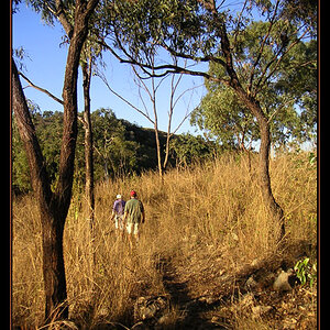 Bushwalking