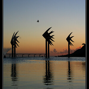 Lagoon Fish Sunrise