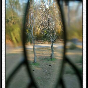 Looking Glass