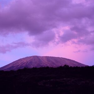 Kili Sunrise, Day 3