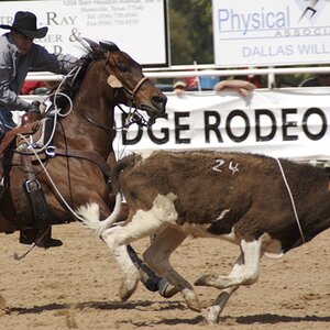 Roping