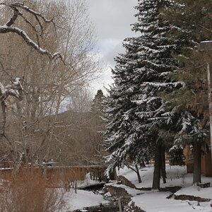 Santa Fe stream