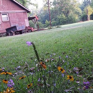 Barn that Is full of Orbs