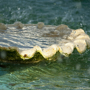 Worn Fountain