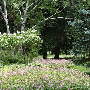 Stroll in Sunnydale Park