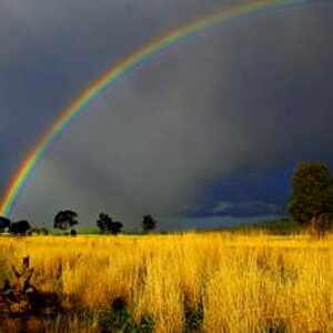 Rainbow Field