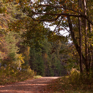 Canoe Launch at Barnett Twp (D1H)