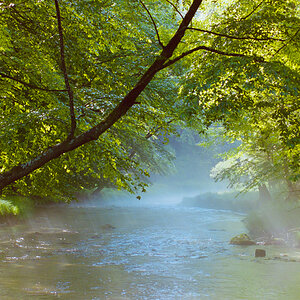 Morning Mist on Tom's Run #1 (1V, D610)