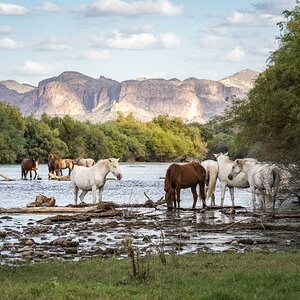 Evening on the Lower Salt River.jpg