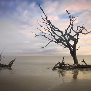 Driftwood Beach, Jekyll Island, GA