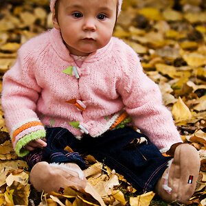 sitting in the leaves