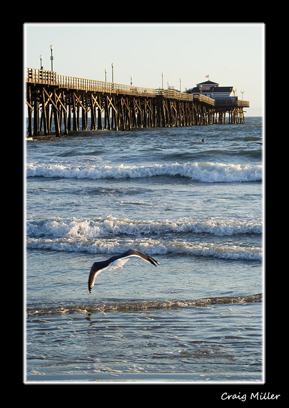 Seal Beach Sunset