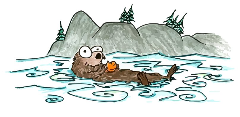 sea-otter.png