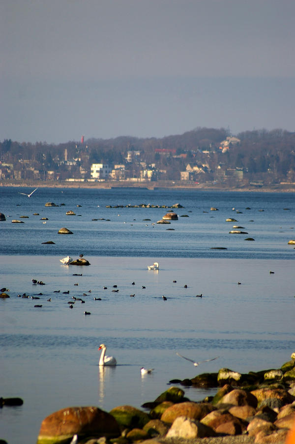 Pirita_Beach_by_ShadowPhotography.jpg