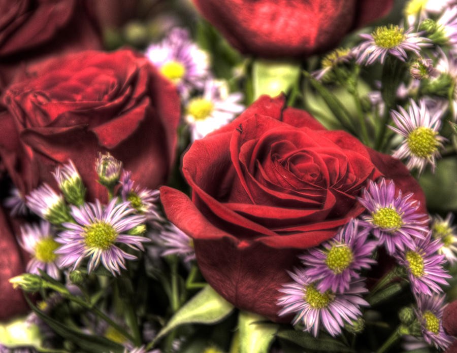 HDR_rose_by_agompert.jpg