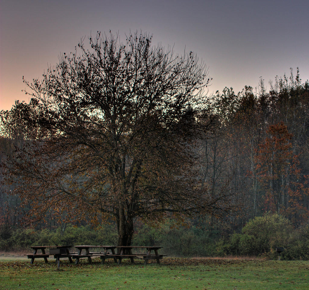 Tree_and_Bench_HDR_by_sideways_8.jpg
