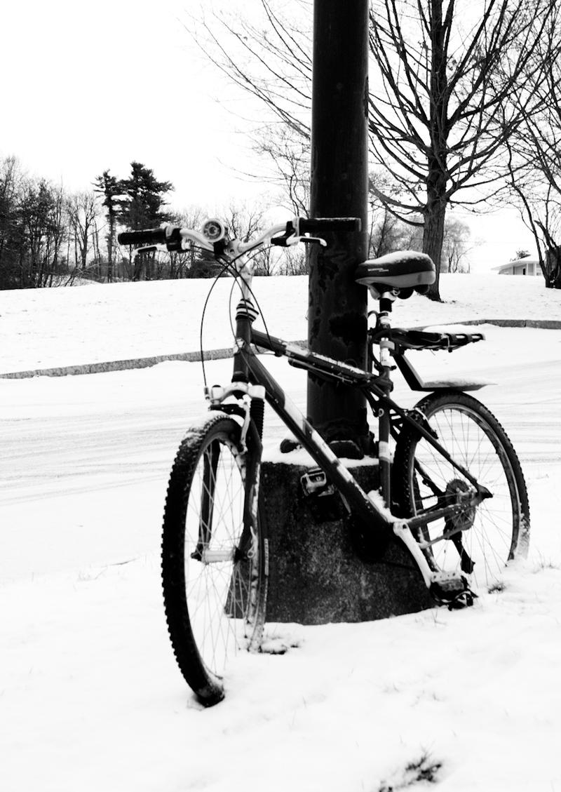 Bike_In_Snow_2_by_sideways_8.jpg