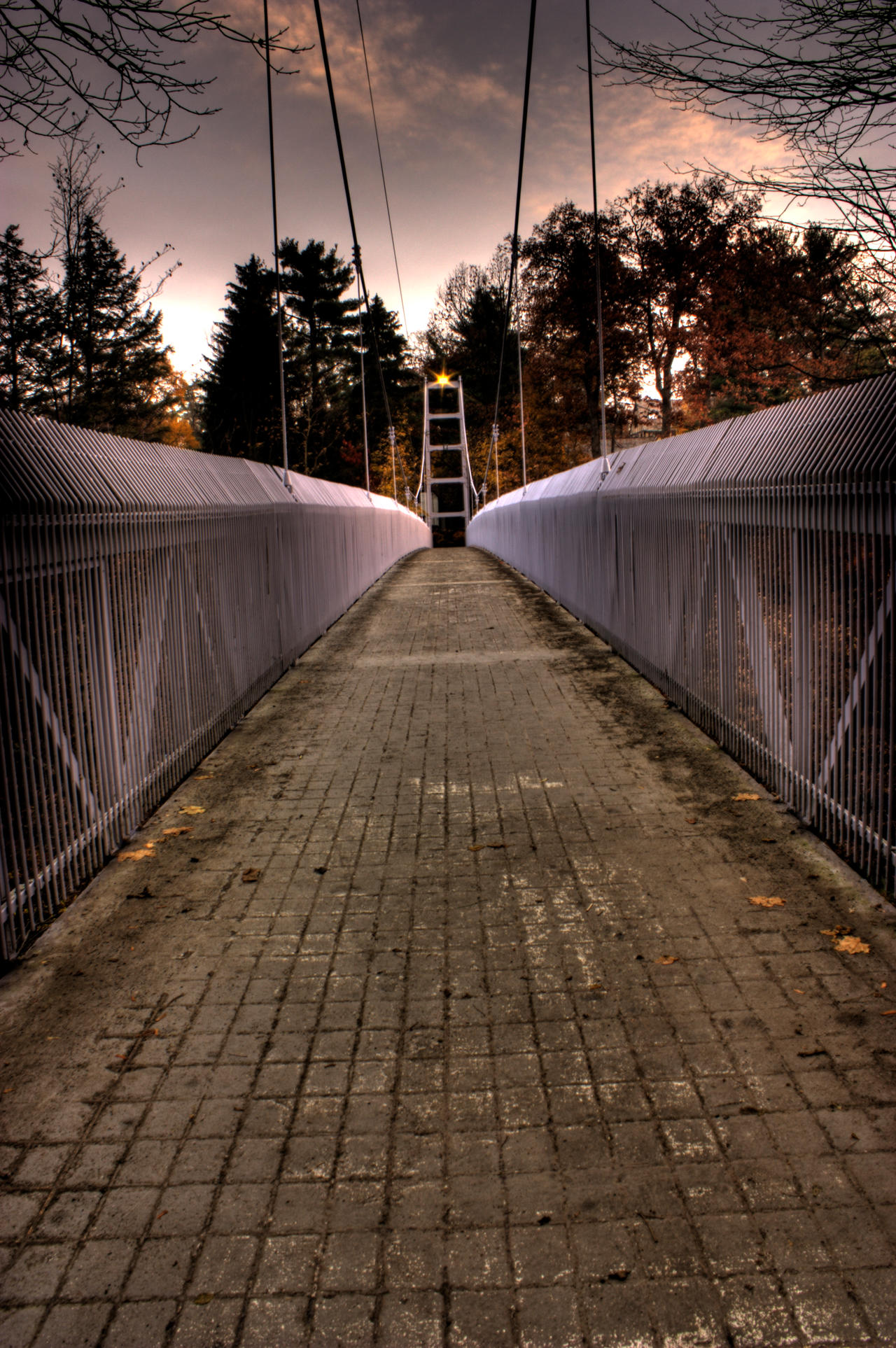 Cornell_Suspension_Bridge_HDR_by_sideways_8.jpg