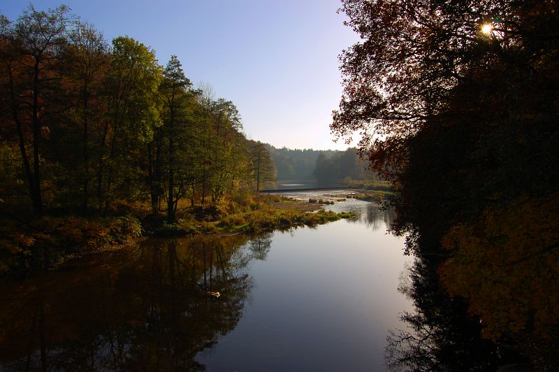 herbst.jpg