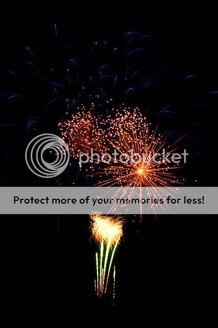 Spikey-Flowers-6.jpg