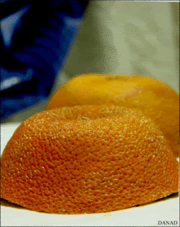 fratii-portocala-4.gif
