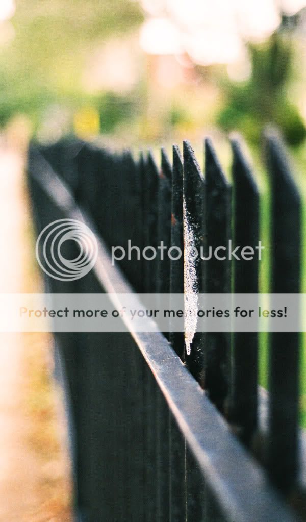 Pointy_Fence_1.jpg