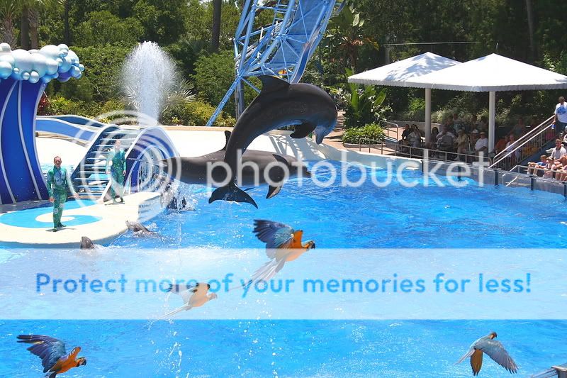 seaworldhols001.jpg