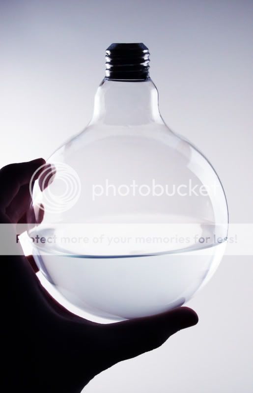 bulb4.jpg