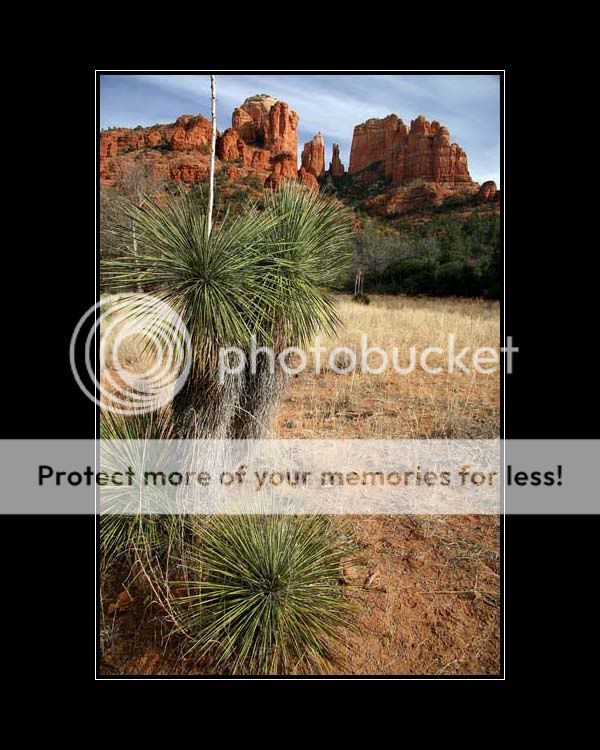 redrock_4247share.jpg