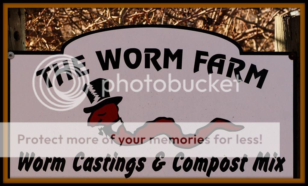 THEWORMFARM_zpsd1e9f6f6.jpg