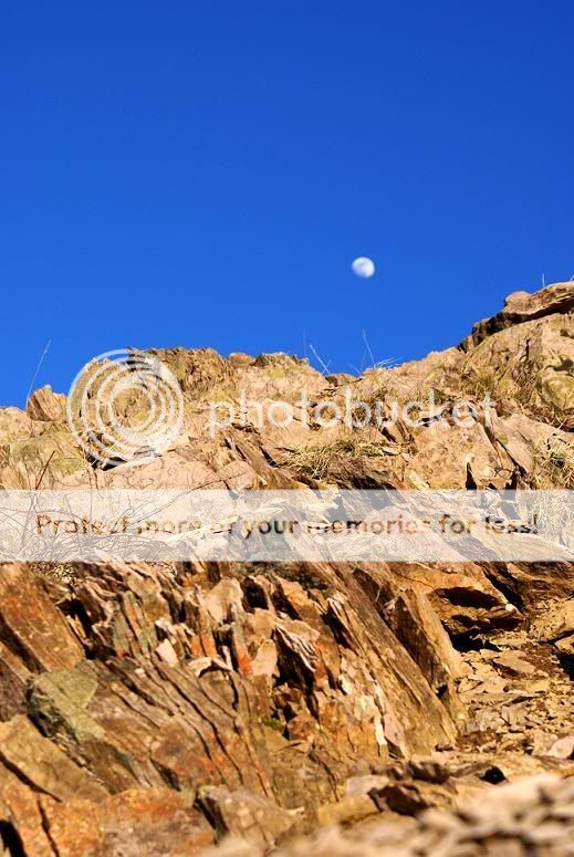 moon-rocks2.jpg