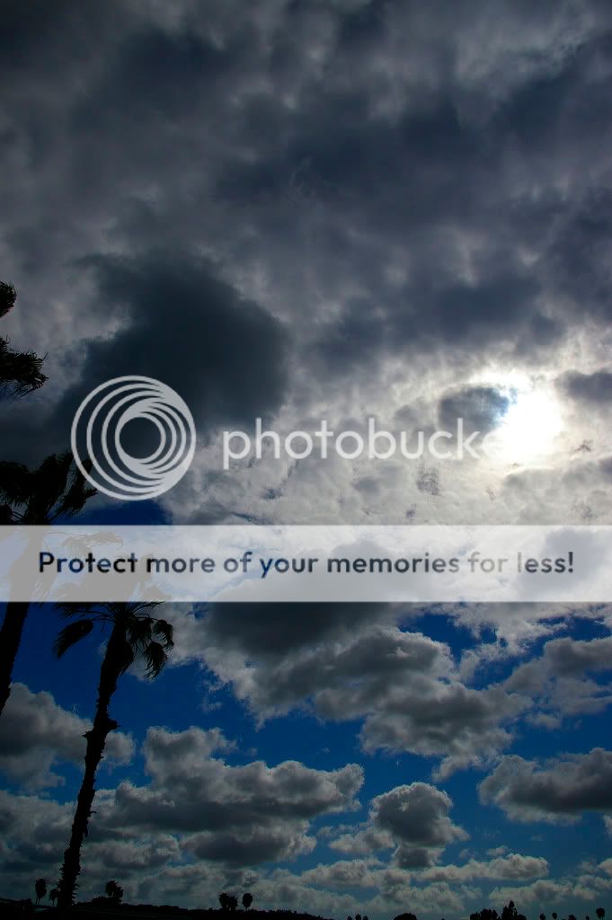 sun-clouds-palmtrees.jpg