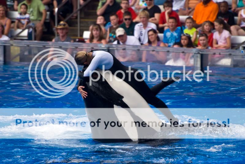 seaworld2small.jpg