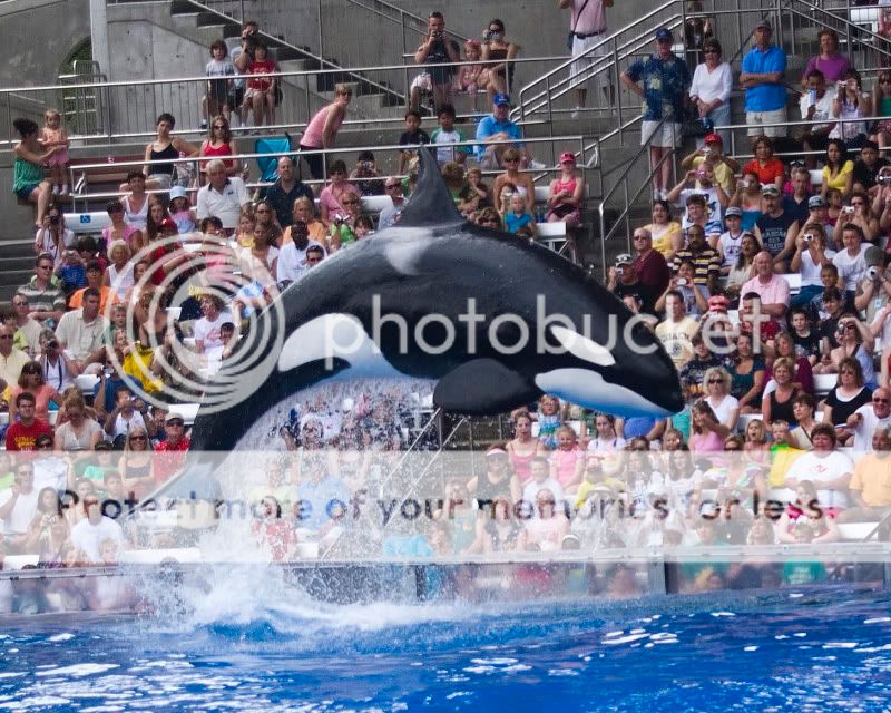 seaworld98x10.jpg