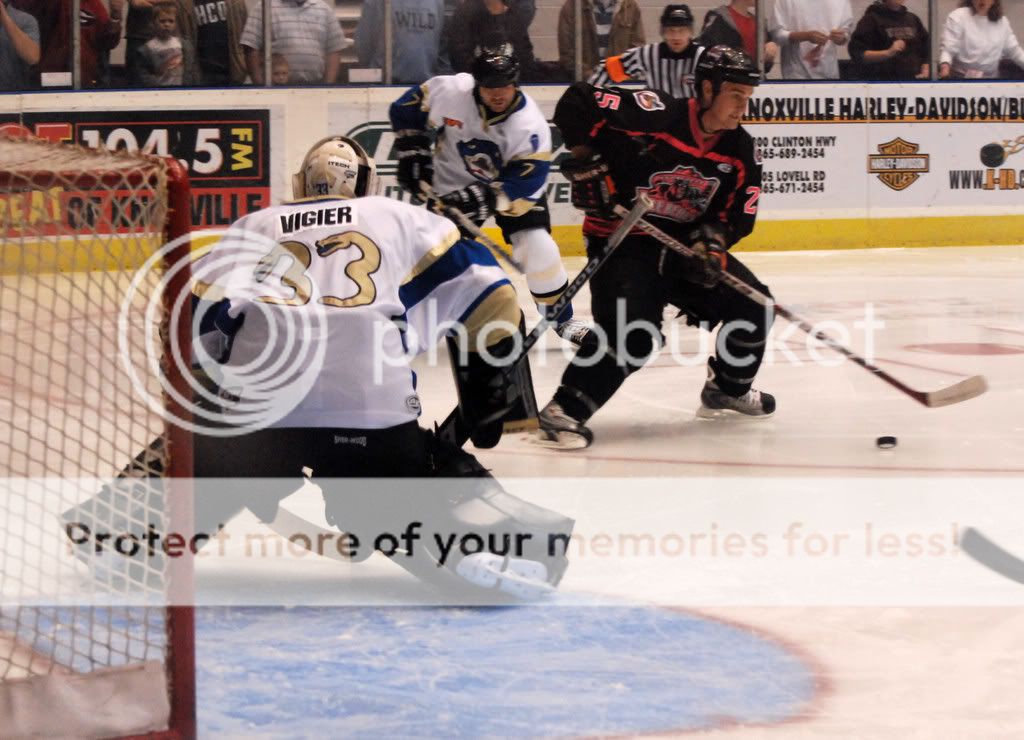 IceBears020.jpg