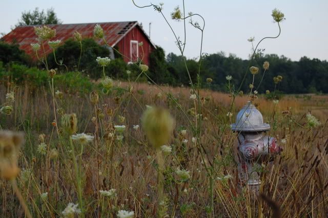 Hydrantbarn.jpg