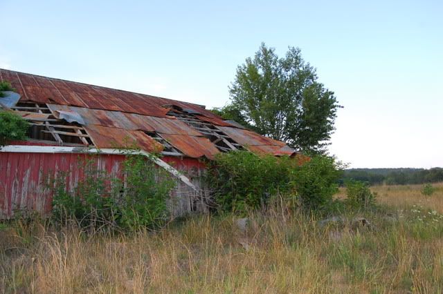 rustyroof3.jpg