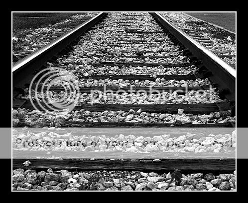 tracks.jpg