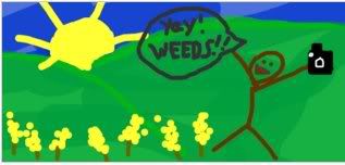 yayweeds.jpg