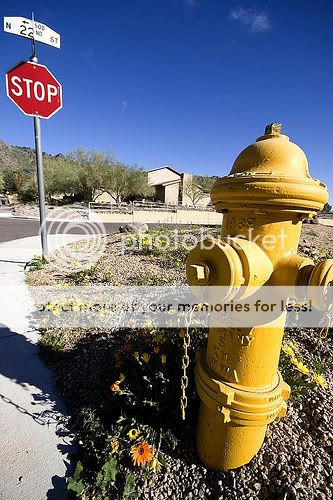 hydrant.jpg