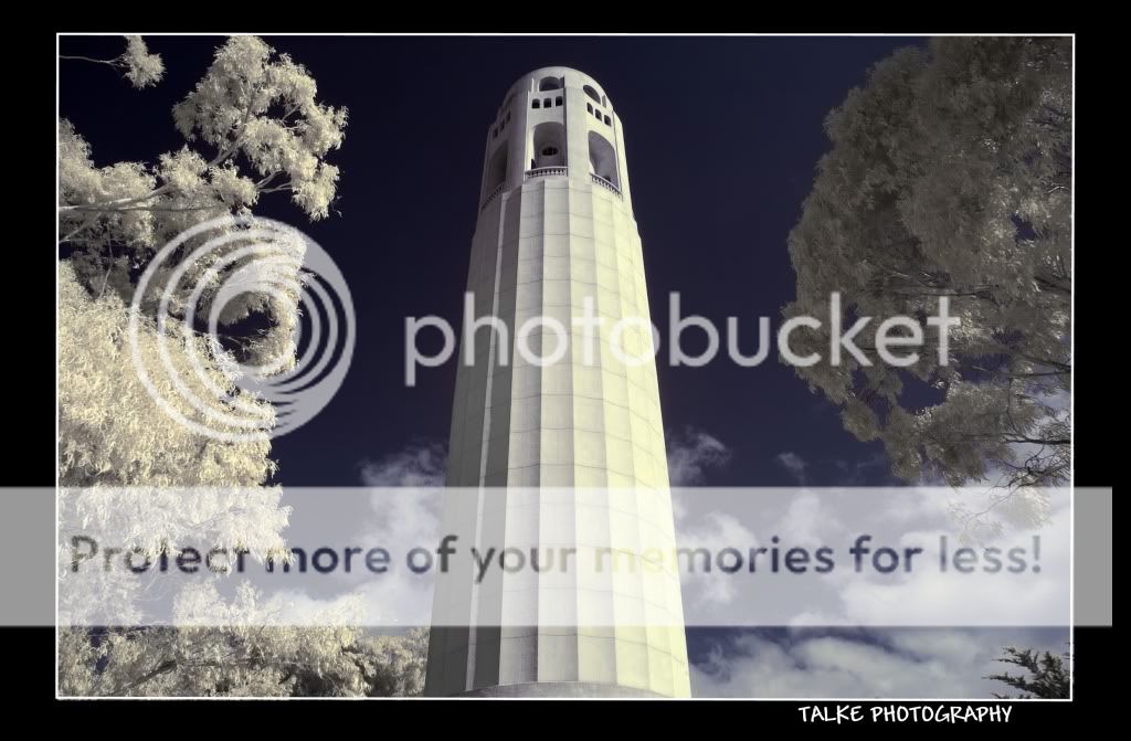 CoitTower_Watermark.jpg