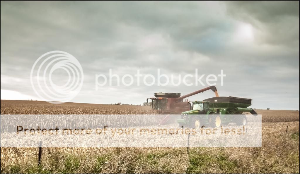 2014CornHarvest.jpg