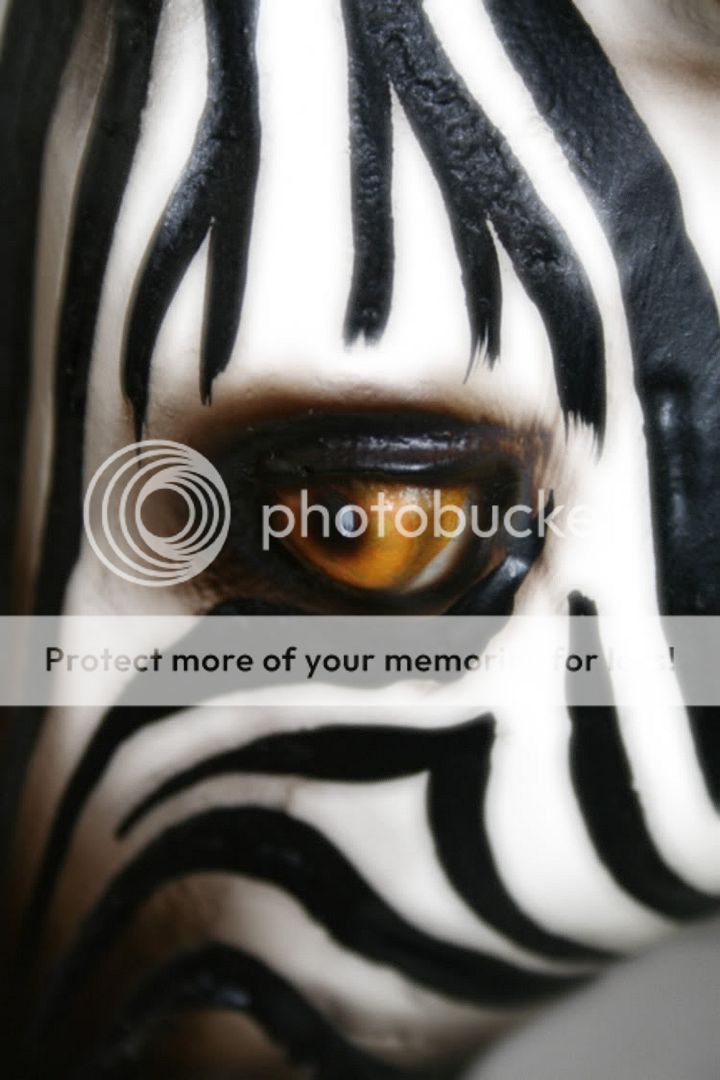 Zebra_0004a.jpg