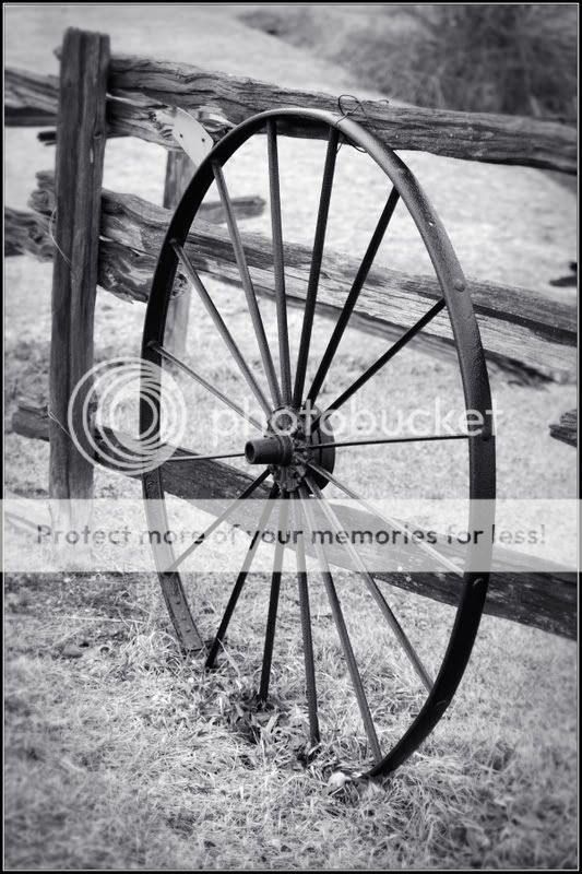 wheelspokes.jpg