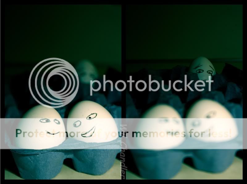 Eggs-1.jpg