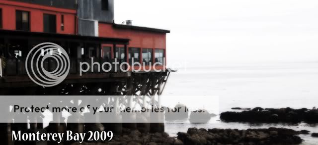 Monterey2009.jpg